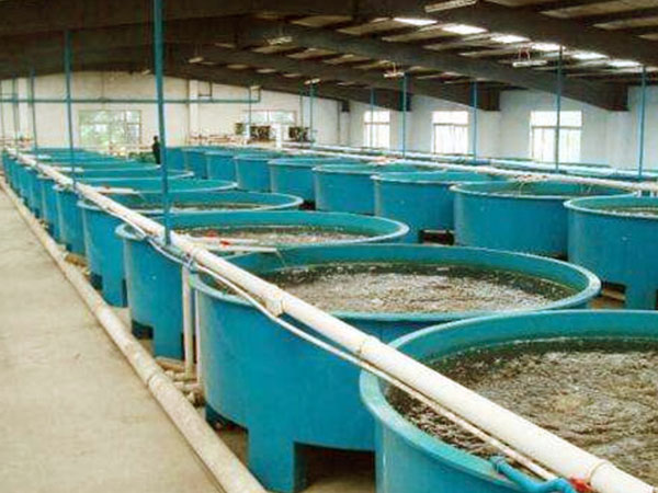 500水庫(kù)循環(huán)水恒溫養(yǎng)殖項(xiàng)目