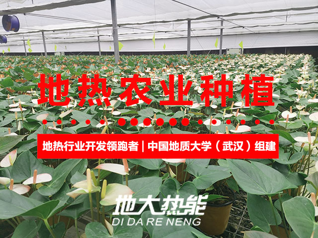 濟(jì)南:“地?zé)崮?農(nóng)業(yè)”產(chǎn)業(yè)融合,讓地?zé)崮苷嬲盁帷逼饋?lái)-地大熱能 濟(jì)南:“地?zé)崮?農(nóng)業(yè)”產(chǎn)業(yè)融合,讓地?zé)崮苷嬲盁帷逼饋?lái)-地大熱能